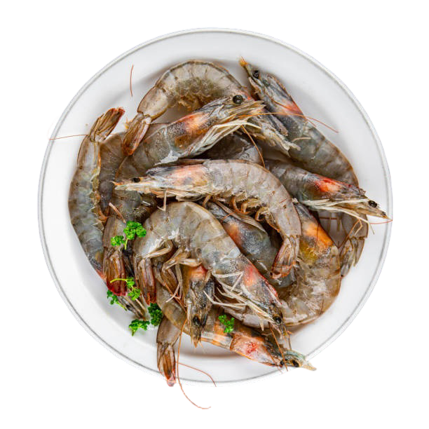 Shrimps/kg