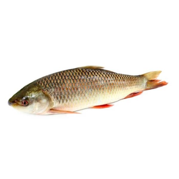 Rooha Fish/kg