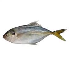 Seema Fish/kg