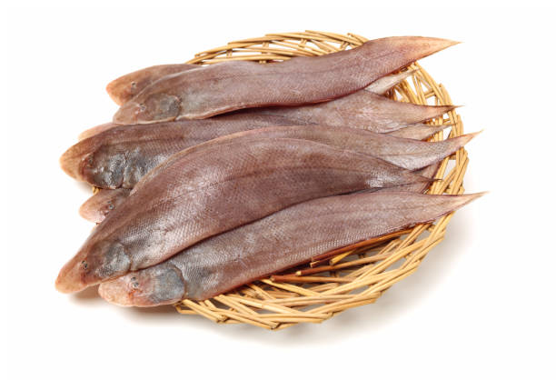 Flat Fish/kg