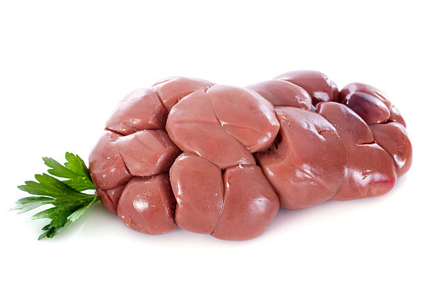 Beef Kidney/kg
