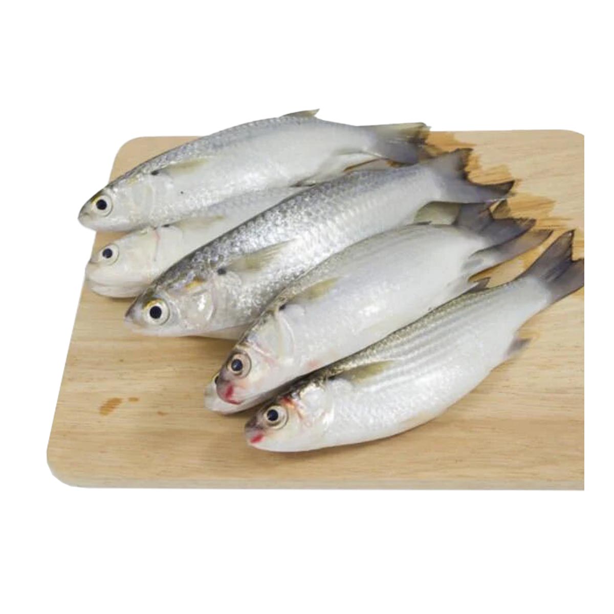 Biyya Kora Fish/kg