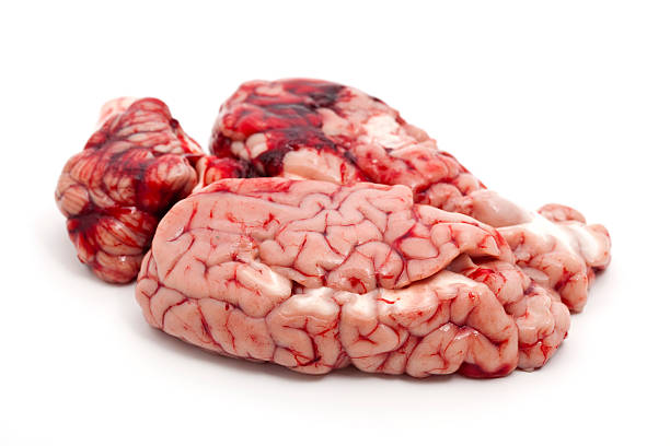 Beef Brain/tray