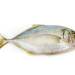 Jesh Para Fish/kg