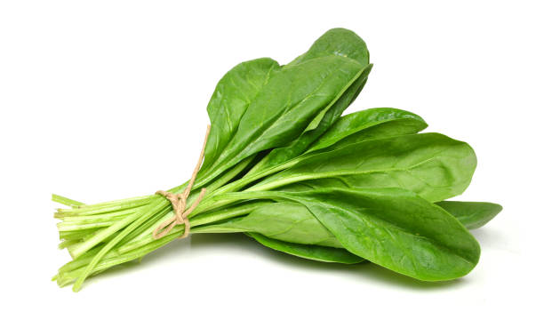 Palak Leaves/bunch