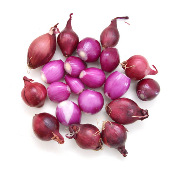 Onion Small/kg