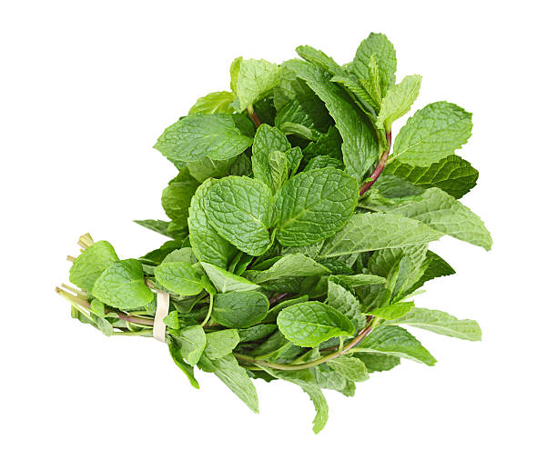 Mint Leaves/bunch