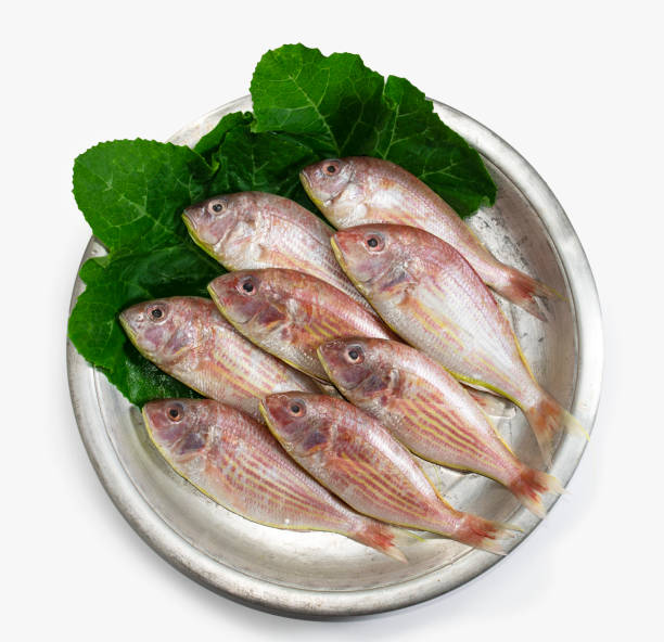 Sultan Oman Fish/kg