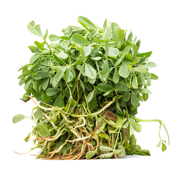 Fenugreek(methi) Leaves/bunch