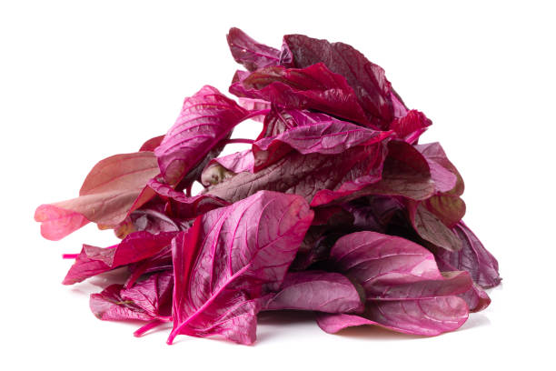Spinach Red / Bunch