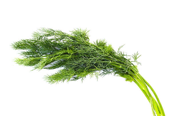 Dill Leaves/bunch
