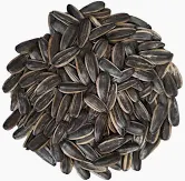 Sunflower 20/64 – Seeds/kg