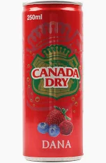 Canada Dry Dana Can 250 ml