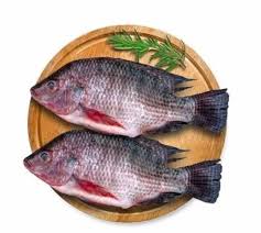 Tilapia/kg
