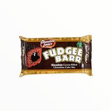 Fudgee Barr 10x40g