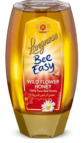 Langnese Bee Easy Wild Flower Honey 500gm