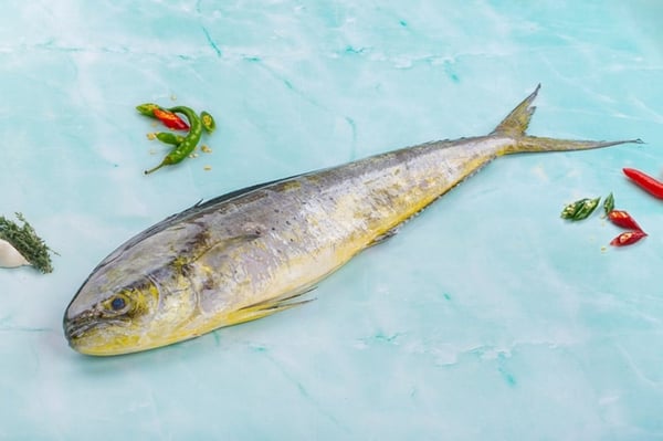 Mahi Mahi/Kg