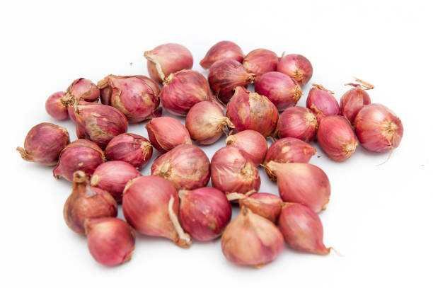 Onion Small 100g