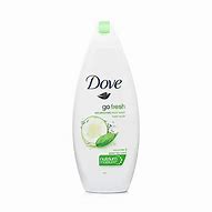 DOVE BODY WASH GO FRESH 1X500ML